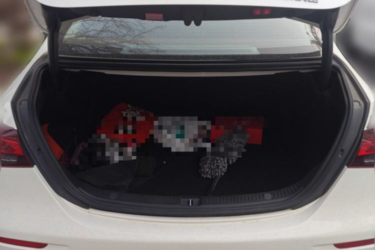 Used Mercedes-Benz E-Class 2021 E 300 L Luxury Model
