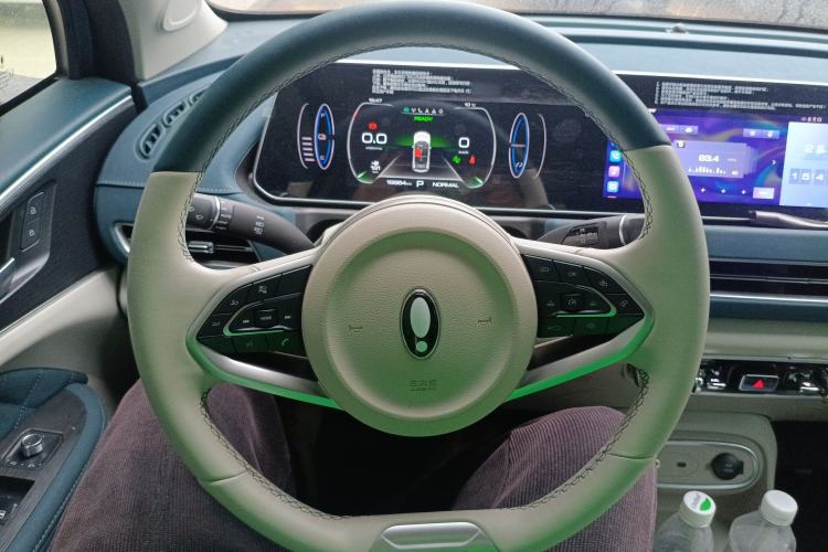 Used ORA Good Cat 2023 401 km Standard Range Luxury Version Lithium Iron Phosphate
