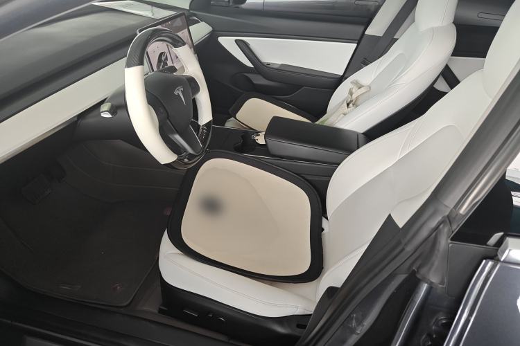 Used Tesla Model 3 2020 Revised Version Standard Range Rear-Wheel Drive – Upgraded Edition
