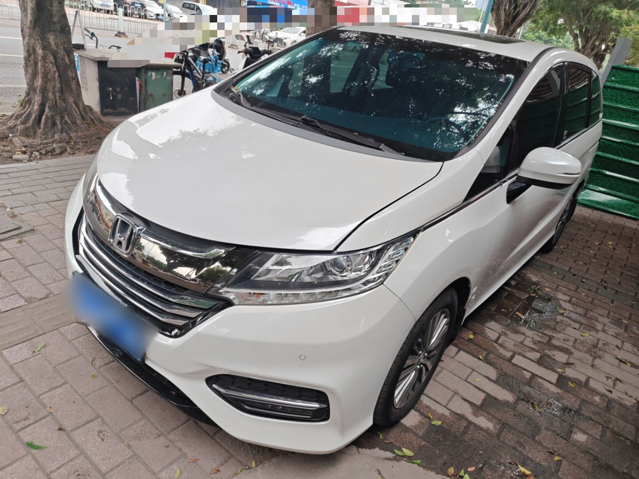 Parte inferior delantera