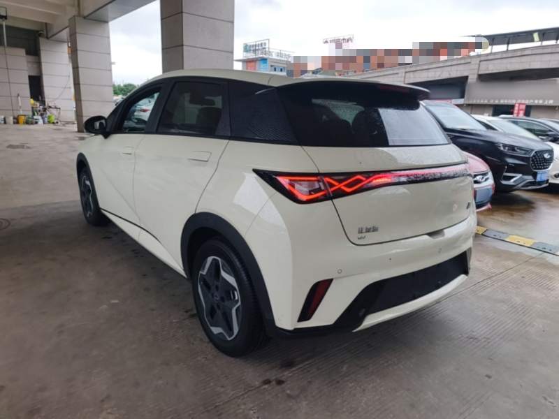 Used BYD Dolphin 2021 405 km Fashion Edition — 4
