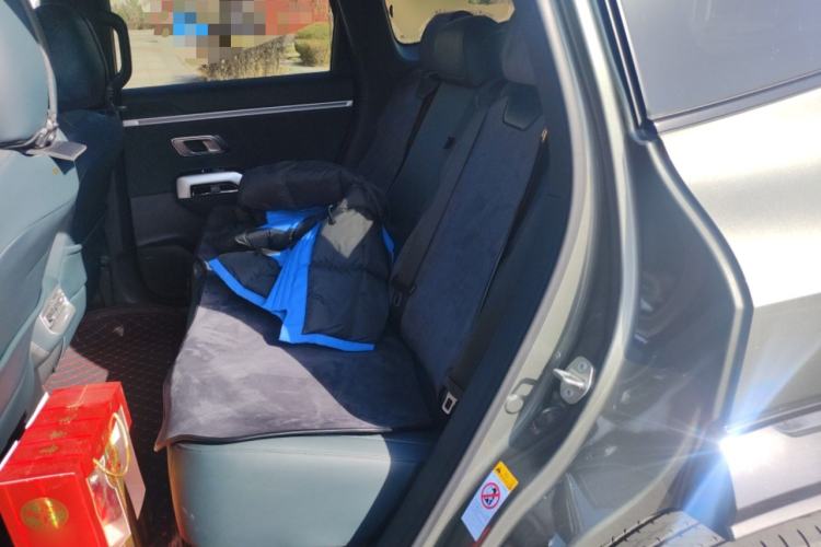 Used Deepal G318 2025 Worry-Free Adventure Edition Four-Wheel Drive Secret Realm Version Left Rear Seat