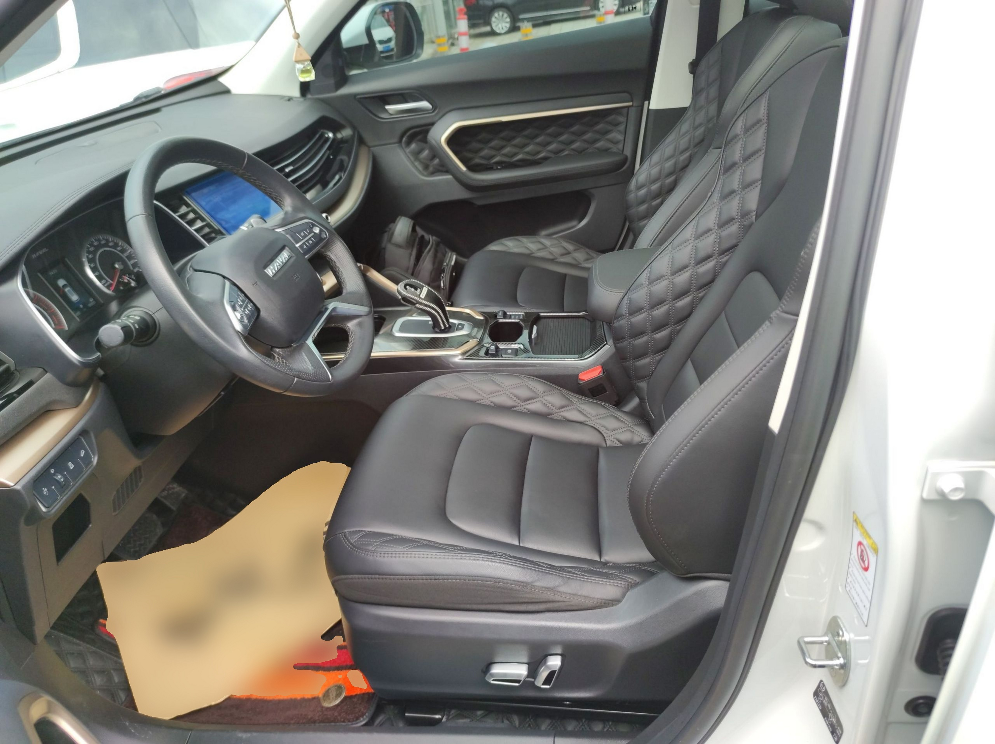 Interior delantero