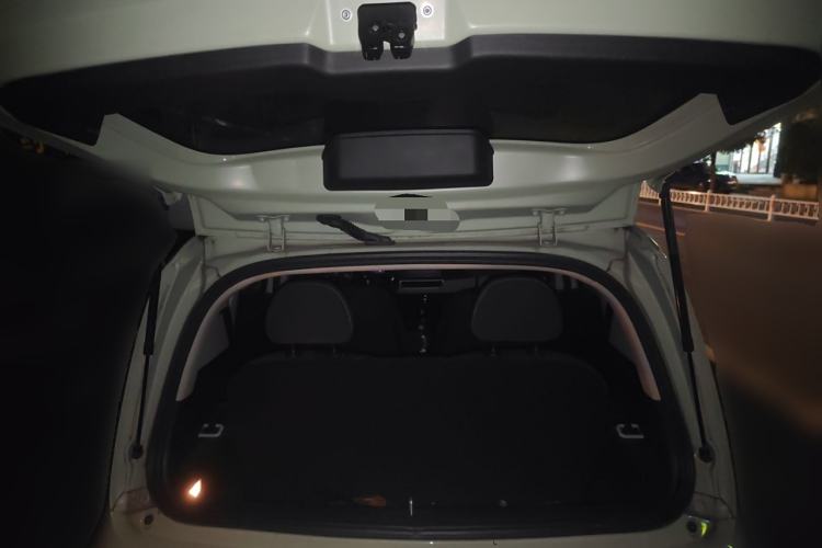 Used ORA White Cat 2020 305 km Luxury Version