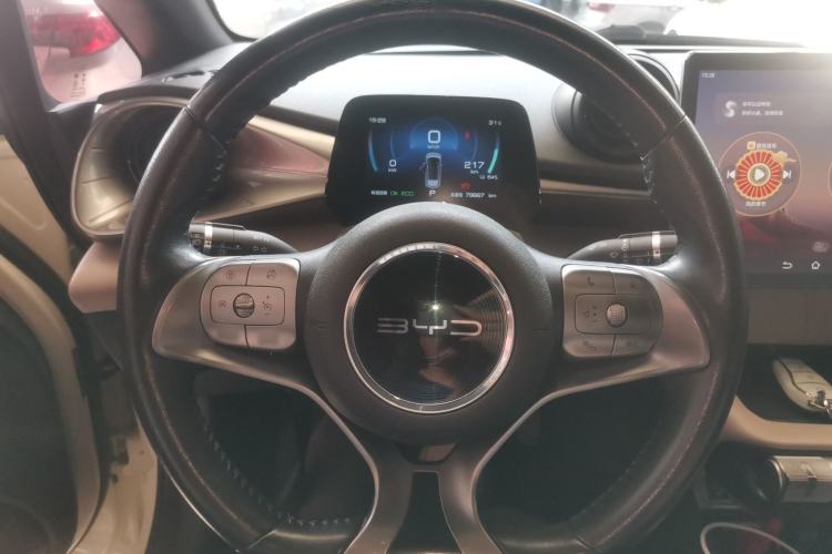 Used BYD Dolphin 2021 405 km Free Version