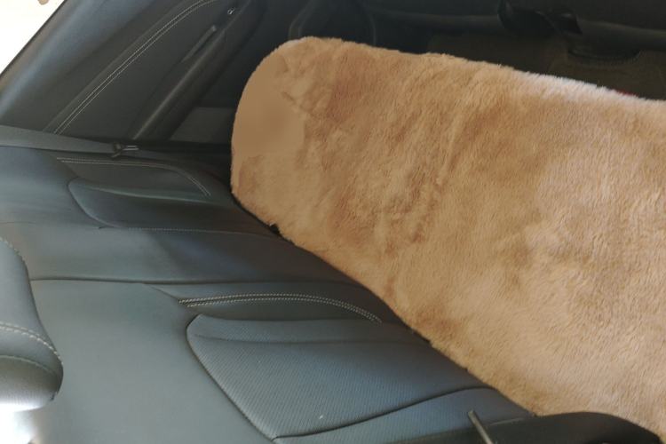 Used Geely Auto Vision X3 2020 1.5L CVT Luxury Model Left Rear Seat