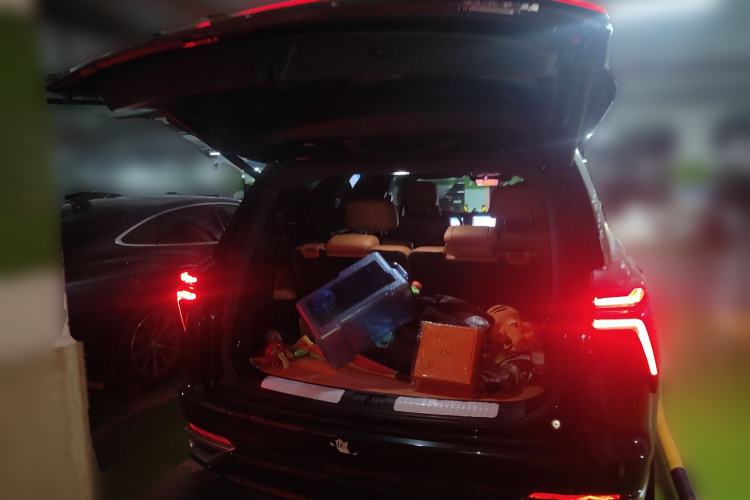 Used Wey Lanshan 2023 Four-Wheel Drive Ultra-Long Range Version