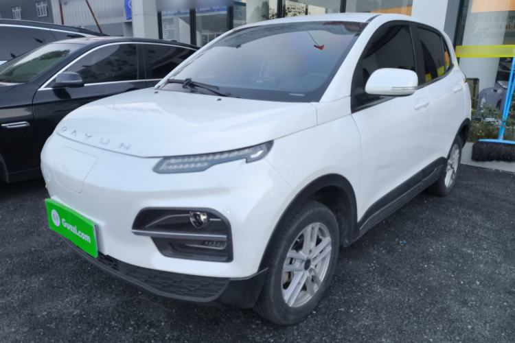 Used Dayun Yuehu 2022 30.66 kWh Two-Wheel Drive Standard Version