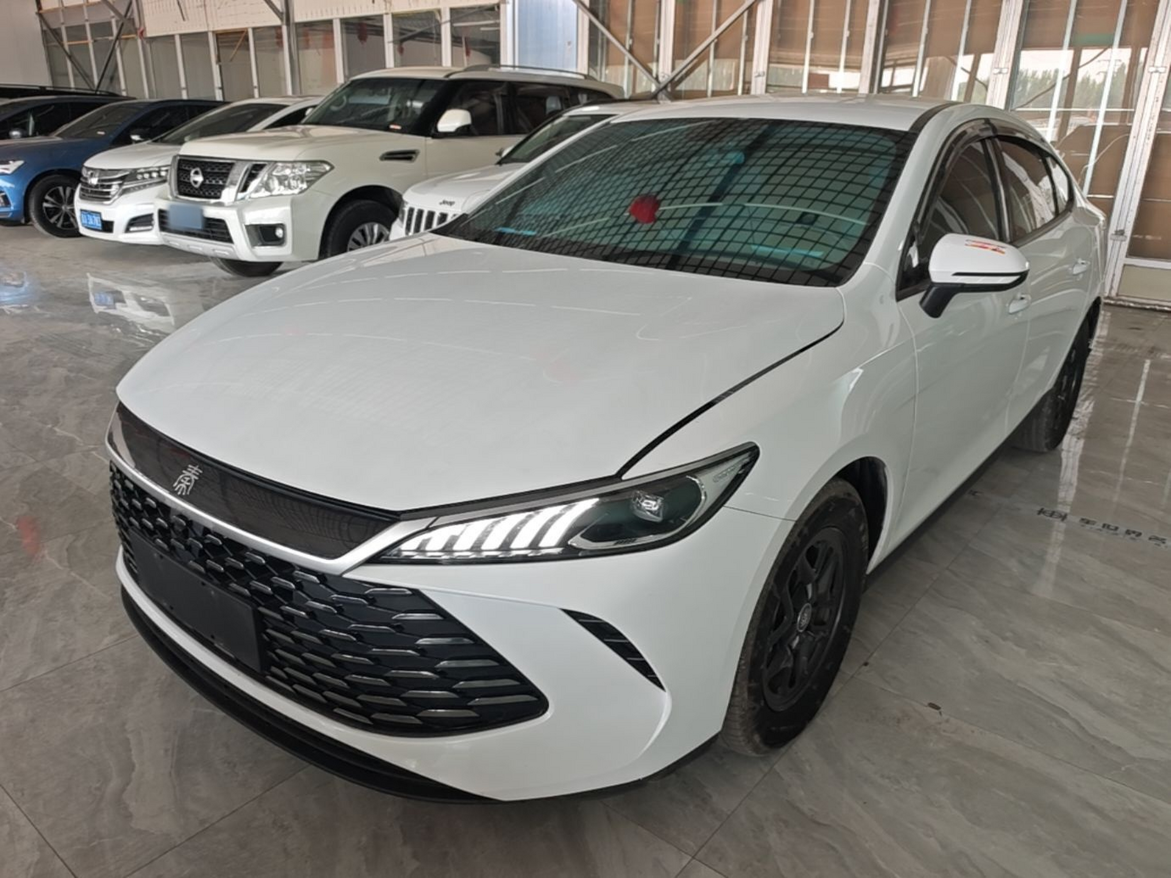 Under Front Bumper