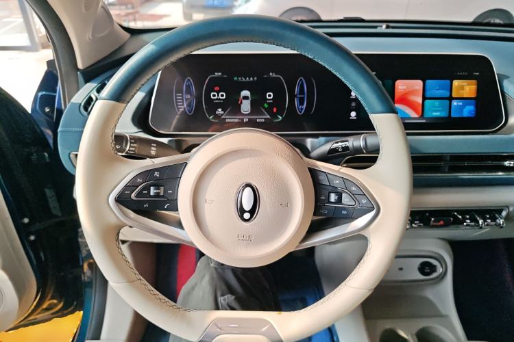 Used ORA Good Cat 2023 401 km Standard Range Luxury Version Lithium Iron Phosphate
