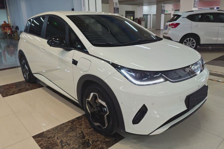 Used BYD Dolphin 2025 Smart Drive Version 420 km Freedom Edition
