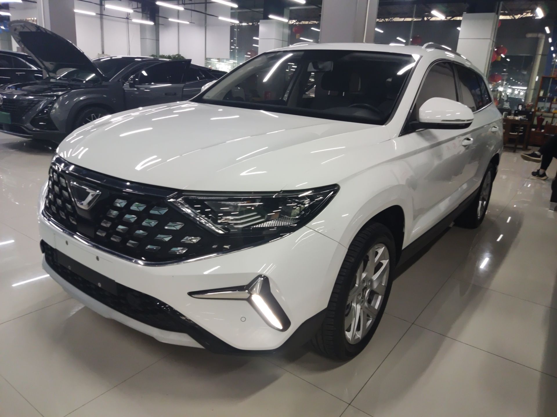 Parte inferior delantera