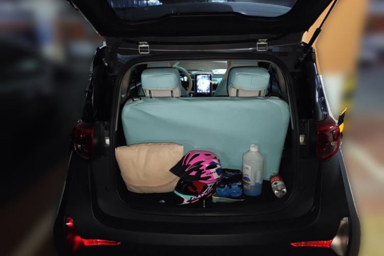 Used Chery QQ Little Ant 2021 200 000 Yuan "Ant Fan" Edition Energized Version NMC Lithium Battery 301 km