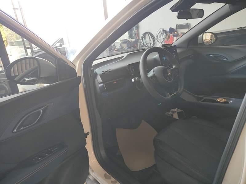 Used BYD Seagull 2025 Intelligent Driving Version 305 km Dynamic Edition — 15