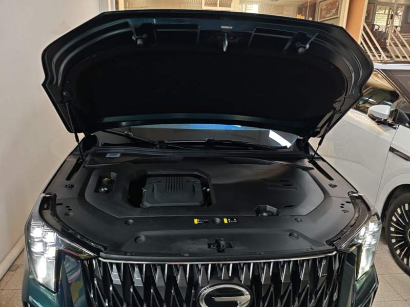 Used GAC Trumpchi GS8 2022 Dual-Engine Series 2.0TM Two-Wheel Drive Prestige Edition (7 Seats) — 19