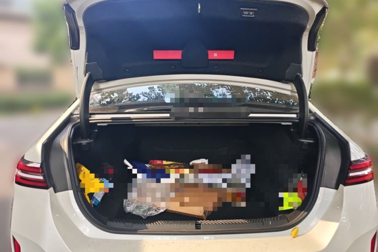 Used BMW 5 Series 2024 530Li Leading Model M Sport Package
