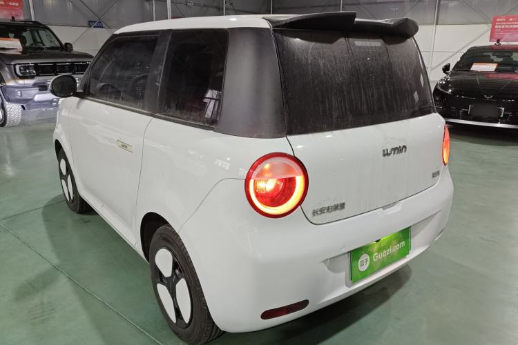 Used Qiyuan Lumin 2023 205km Xiangqin Version

