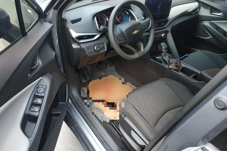 Used Chevrolet Orlando 2018 530T Automatic Luxury Edition (5+2 Model) China V Standard