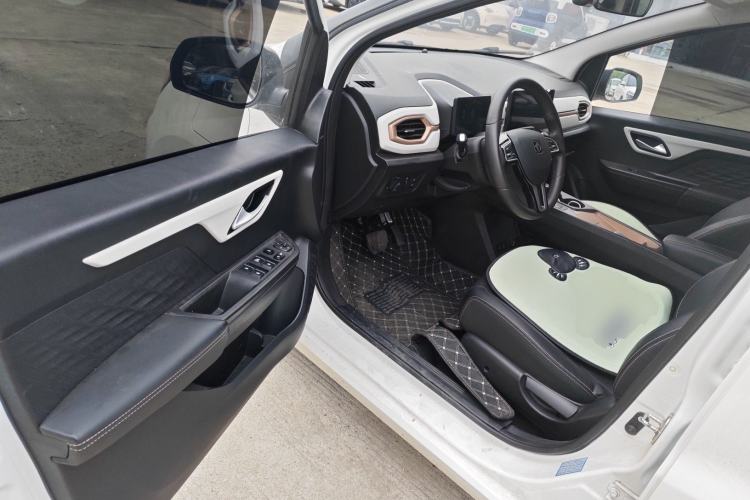 Used SOL E10X 2022 Flower Fairy Design Dandelion