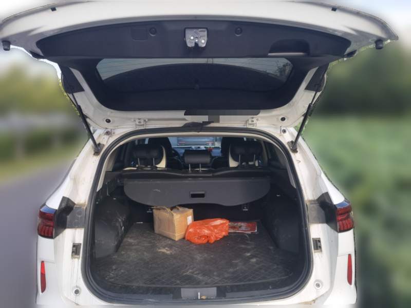 Used Haval H6 2024 1.5T Two-Wheel-Drive Classic Edition — 9