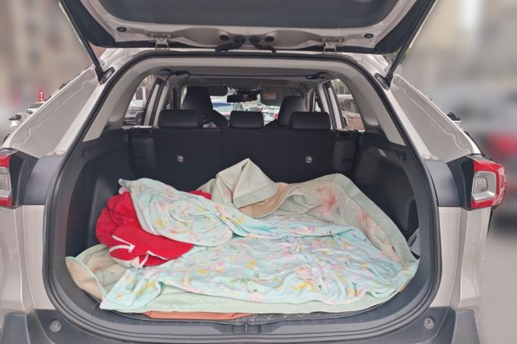 Used Toyota Wildlander 2020 Dual-Engine 2.5L E-CVT Two-Wheel Drive Luxury Edition