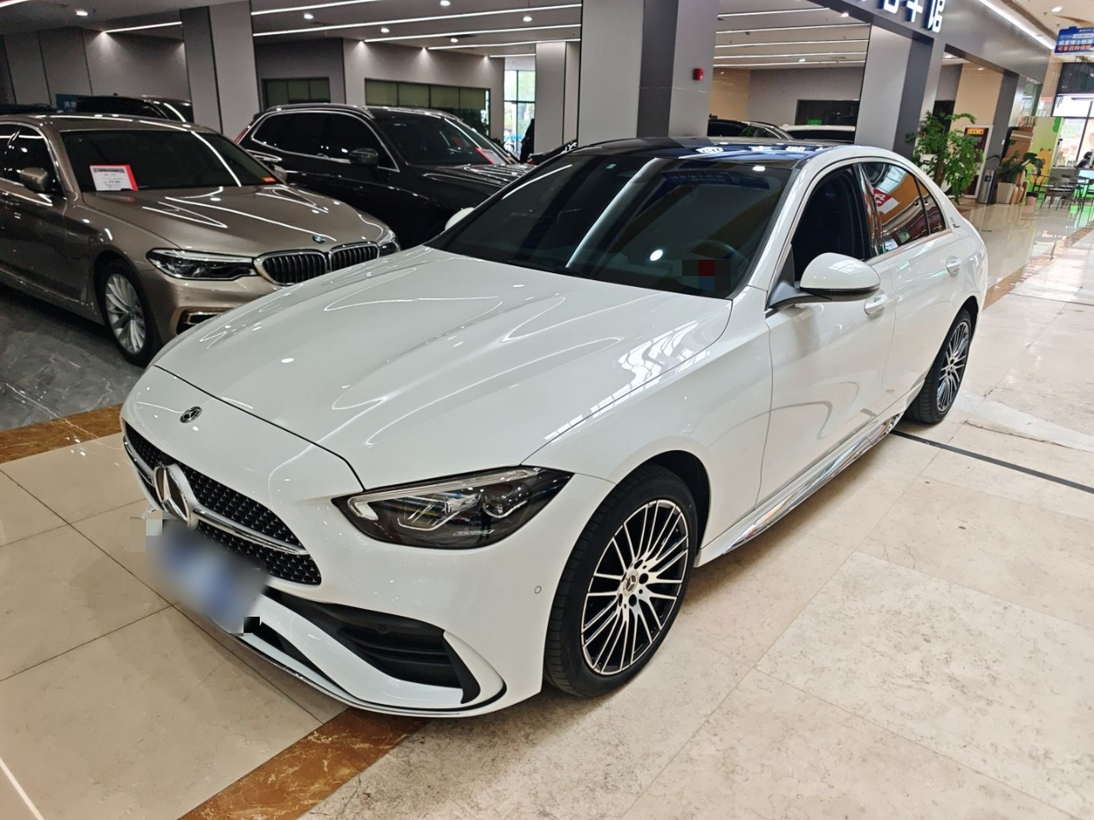 Parte inferior delantera