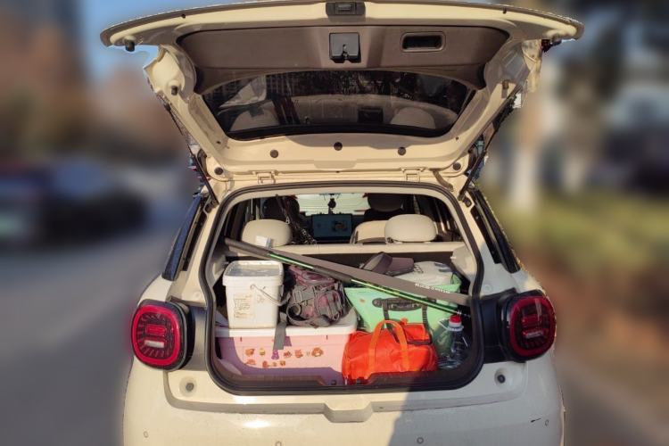 Used JAC Yiwei 3 2023 405km Pro