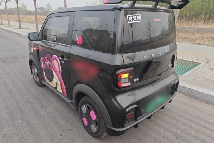 Used Geely Galaxy Panda 2024 200km Panda Kart