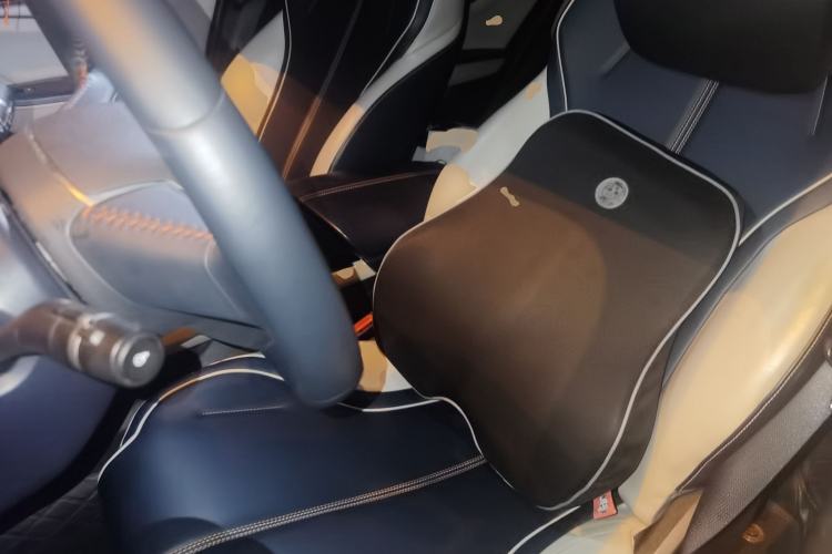 Used BYD Qin PLUS 2021 DM-i 55KM Flagship Model Left Front Seat