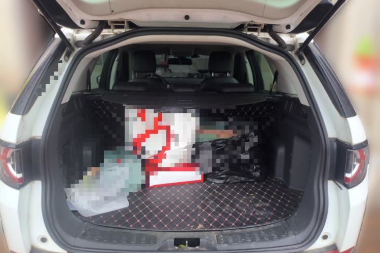 Used Land Rover Discovery Sport 2018 240 PS PURE Edition Trunk