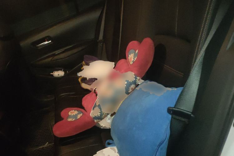 Used Toyota Corolla 2019 1.2T S-CVT GL Pioneer Edition Left Rear Seat