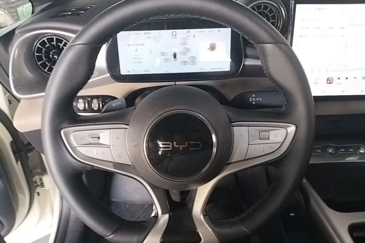 Used BYD Dolphin 2025 Smart Drive Version 420 km Freedom Edition

