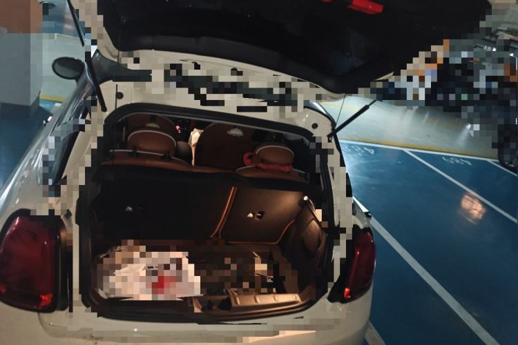 Used MINI 2023 2.0T COOPER S Artist
