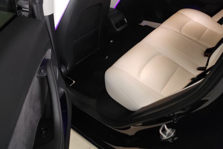 Used Tesla Model 3 2022 Performance High-Performance All-Wheel-Drive Version Left Rear Seat