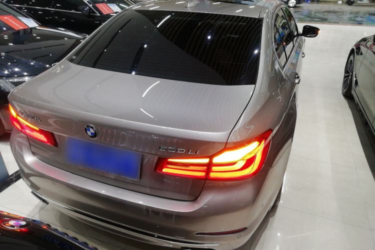 Used BMW 5 Series 2020 530Li Leading Edition Luxury Package
