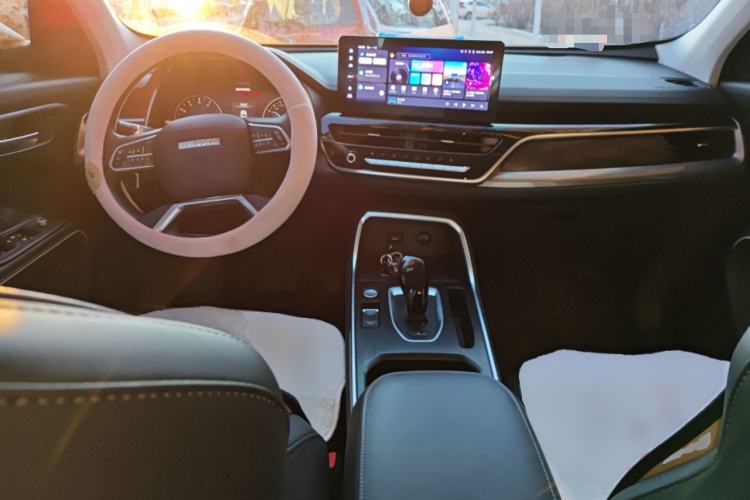 Used Haval H6 2023 National Trend Edition 1.5T Automatic Urban Version
