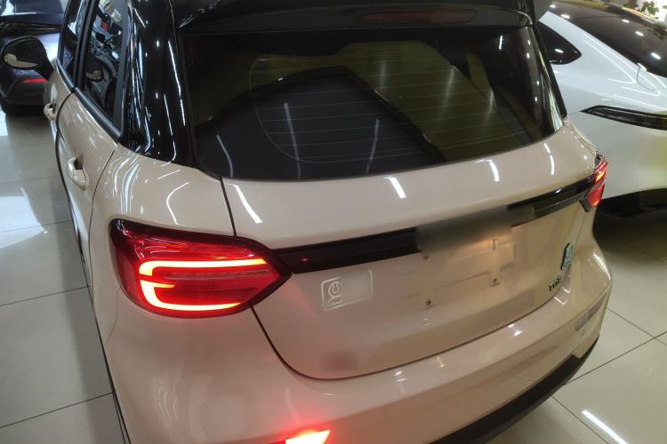 Used Leapmotor T03 2021 400 Comfort Edition Rear