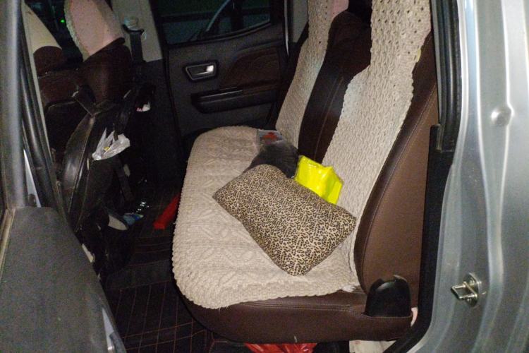 Used Great Wall Wingle 7 2020 2.0T Diesel Two-Wheel Drive Crown Champion Business-Style Compact Pickup GW4D20M Left Rear Seat