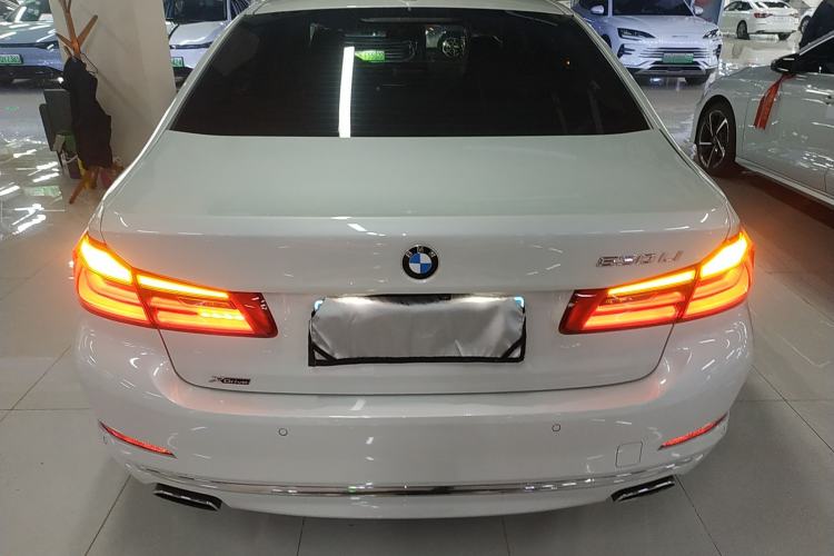 Used BMW 5 Series 2019 530Li xDrive Luxury Package
