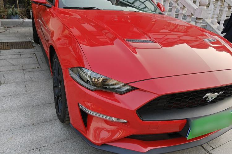 Used Ford Mustang 2018 2.3L EcoBoost Exterior 6