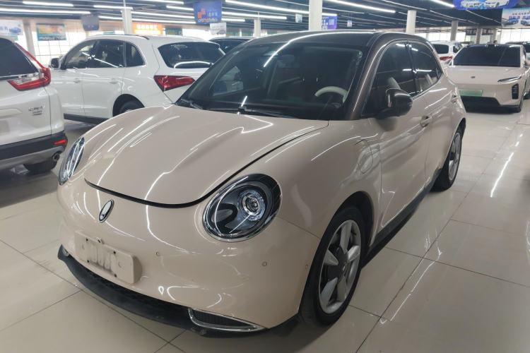 Used ORA Good Cat 2021 400km Standard Range Athena Edition Lithium-Ion Battery