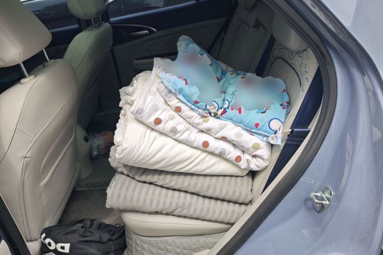 Used ORA Good Cat GT 2022 Mulan Edition 401 km Standard Range Left Rear Seat