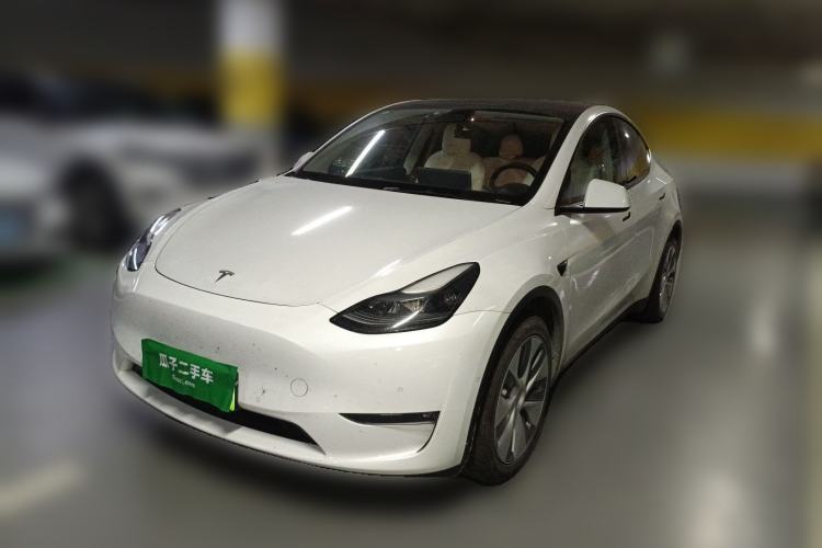Used Tesla Model Y 2021 Standard Range Rear-Wheel Drive Version