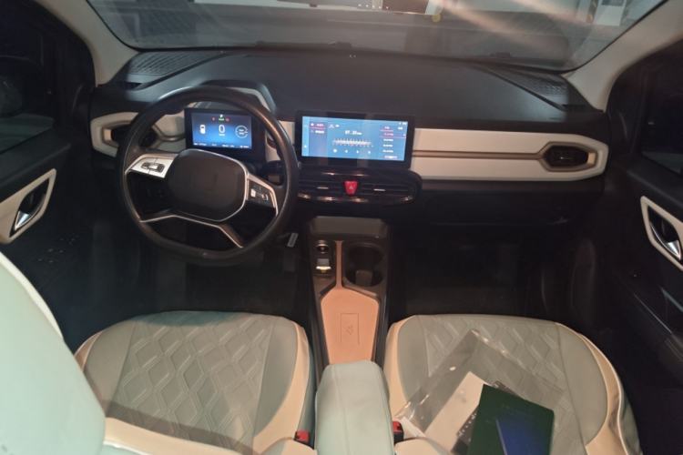 Used SOL E10X 2022 Flower Fairy Design Four-Leaf Clover