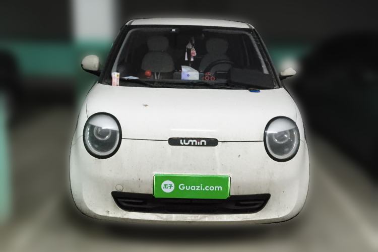Used Qiyuan Lumin 2023 205km Xiangqin Version