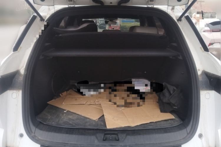 Used BYD Song Pro New Energy 2024 HONOR Edition DM-i 71KM Navigation Model
