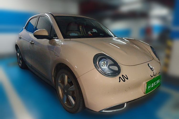 Used ORA Good Cat 2023 401 km Standard Range Luxury Version Lithium Iron Phosphate