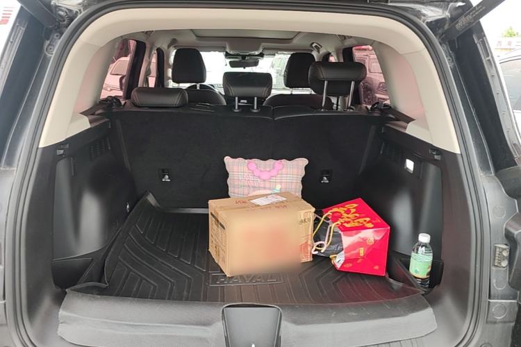 Used Haval DARGO 2024 2.0T DCT Chinese Rural Dog Edition