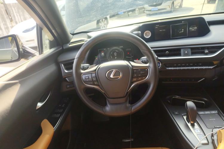 Used Lexus UX New Energy 2020 300e Pure·Joy Edition