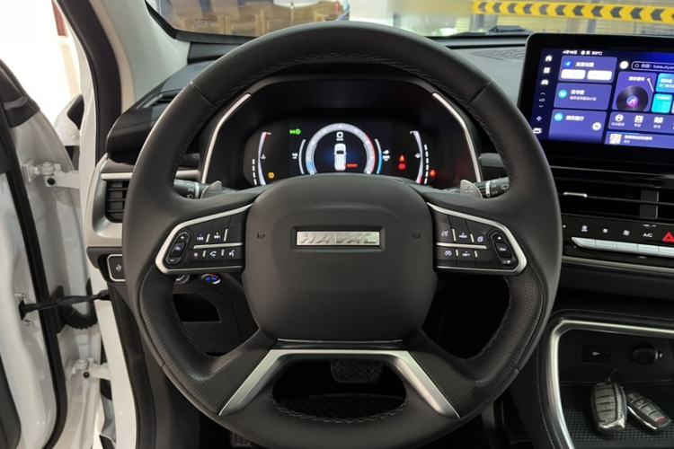 Used Haval H6 2021 National Trend Edition 1.5T Automatic Champion Version
